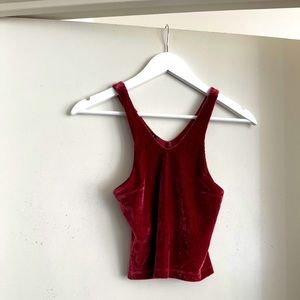 Urban Outfitters Burgundy Red Velvet Crop Top